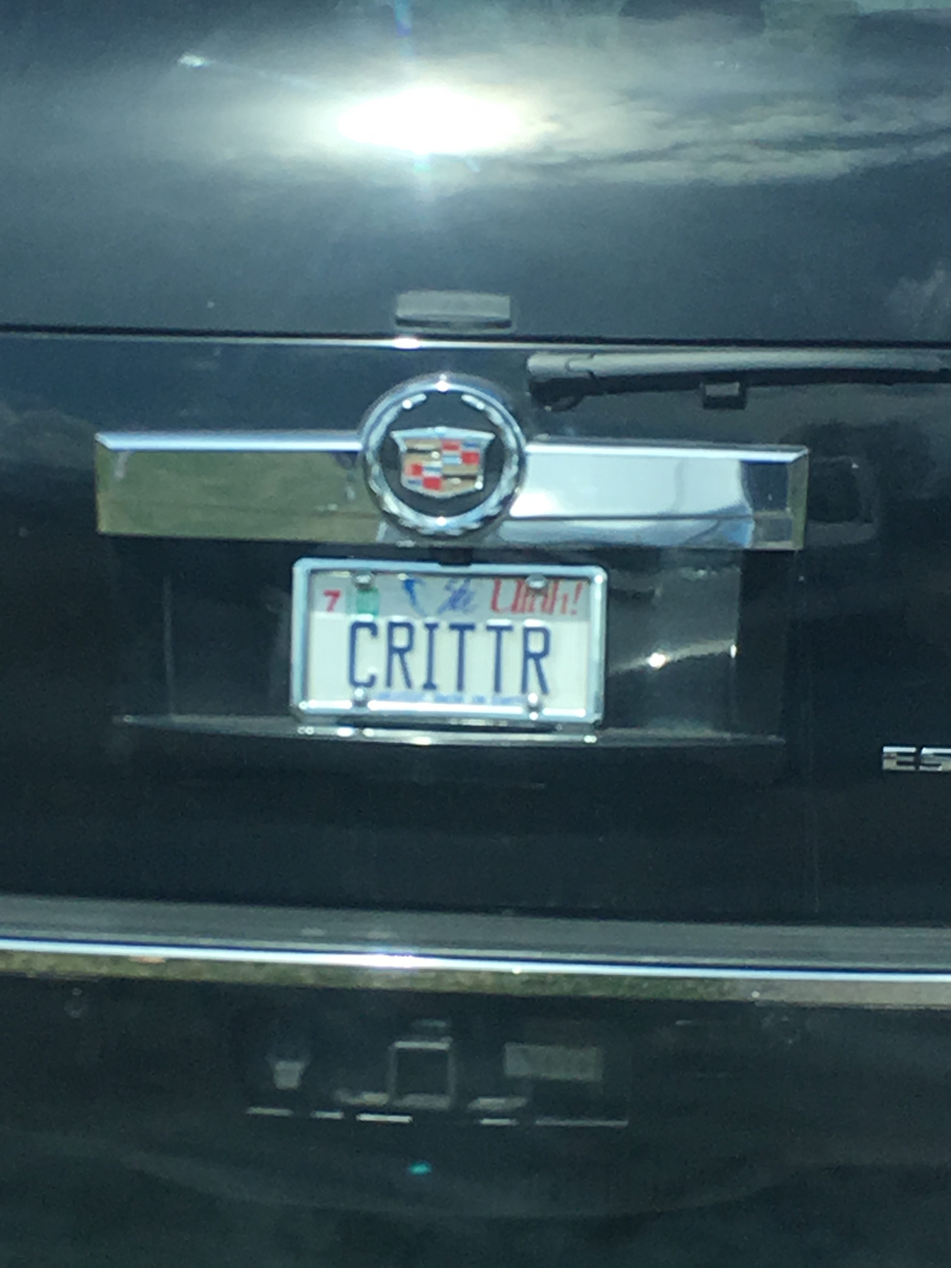 License Plate Of The Week